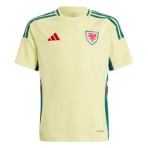 Wales Away Football Shirt 2024