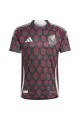 Mexico Home Player Version Football Shirt 2024