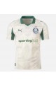 Palmeiras Home Jersey 25/26
